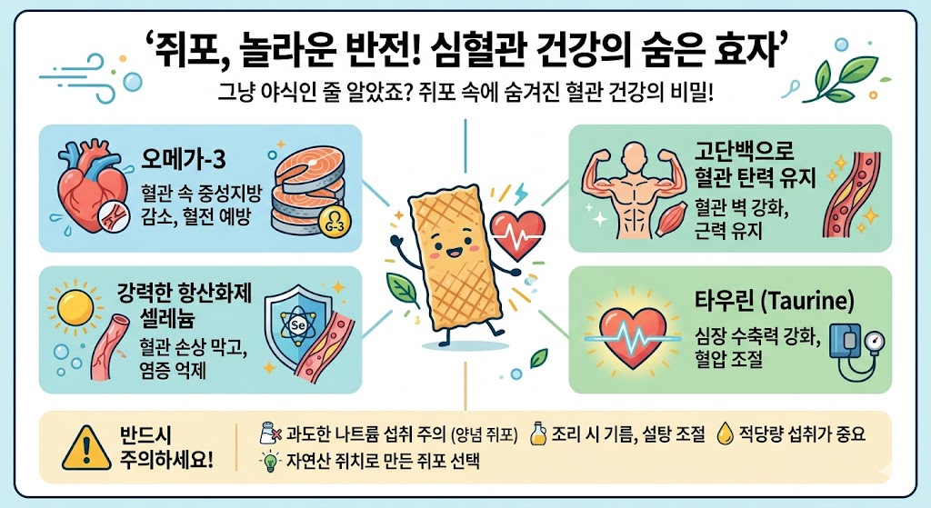 쥐포
